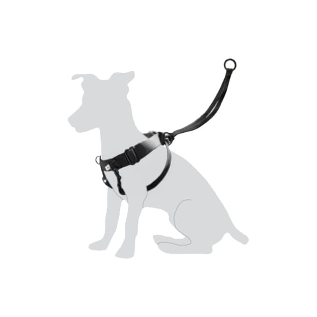 Z009537_Rel Z009537.1.jpg