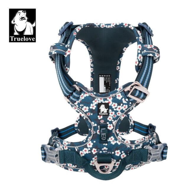 Z094845.4 truelove-sele-x6-saxony-blue-xs-33-43cm.jpg