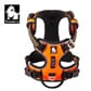 Z094997.2_Rel truelove-sele-x6-orange-xs-33-43cm (1).jpg
