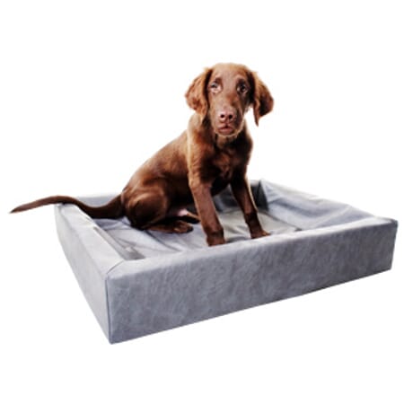 Z002718 A655.0066.jpg