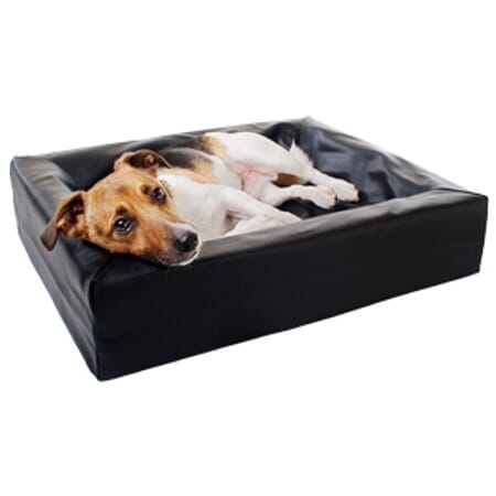 Z009859 A655.0024.jpg