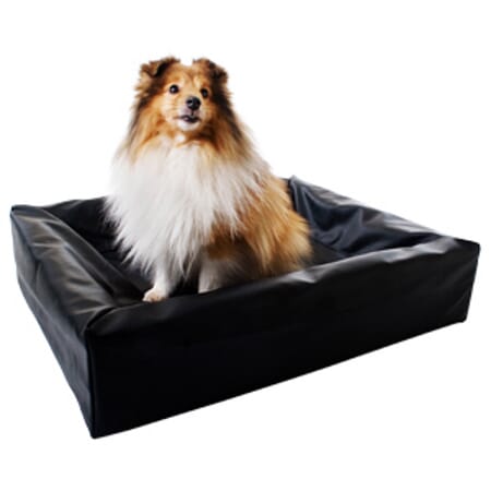 Z009862 A655.0044.jpg