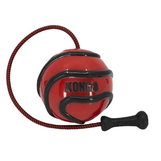 Z094879 Z094879.10.jpg