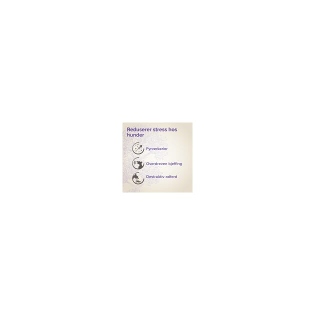 Z091601_Rel Z091601.3.jpg