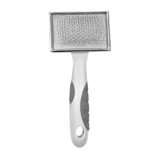 Z003623_Rel Z003623.1.jpg