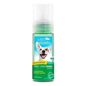 Fresh Breath Mint Foam 133ml TropiClean