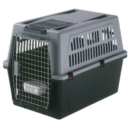 Z001904 A701.0050.jpg