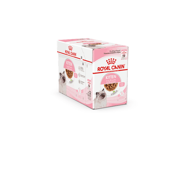 Z062466.1 Z062466.png