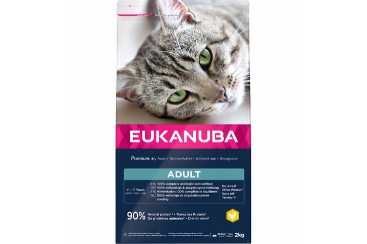 Eukanuba Cat Adult