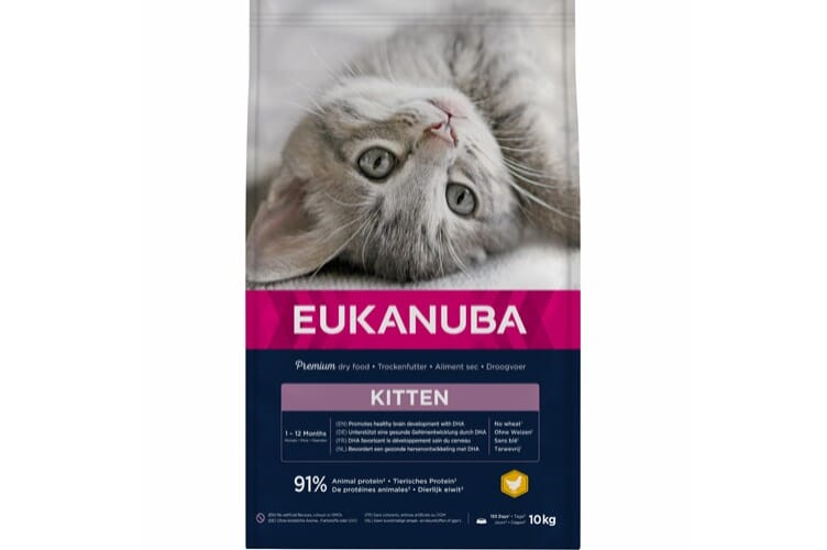 Eukanuba Kitten