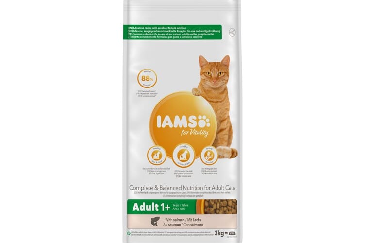 Iams Katt