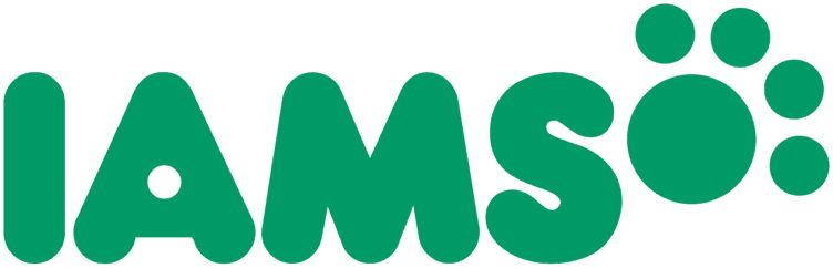 Iams Katt