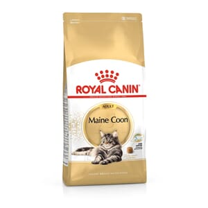 Royal Canin Cat Mainecoon 4kg