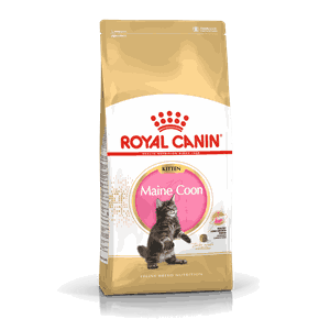 Royal Canin Cat Kitten Mainecoon 4kg