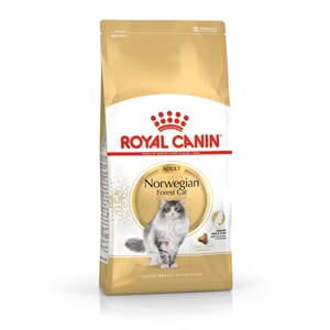 Royal Canin Cat Norwegian Forest 10kg