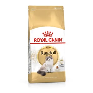 Royal Canin Cat Ragdoll 2kg