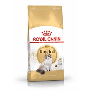 Royal Canin Cat Ragdoll 10kg