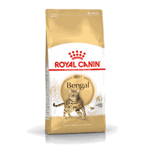 Royal Canin Cat Bengal Adult 2kg