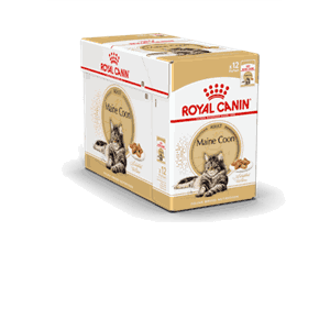 Royal Canin Cat Maine Coon 85g 1stk
