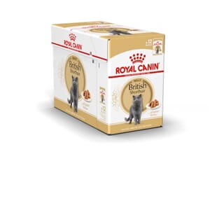 Royal Canin Cat British Shorthair Adult Gravy 12x85g
