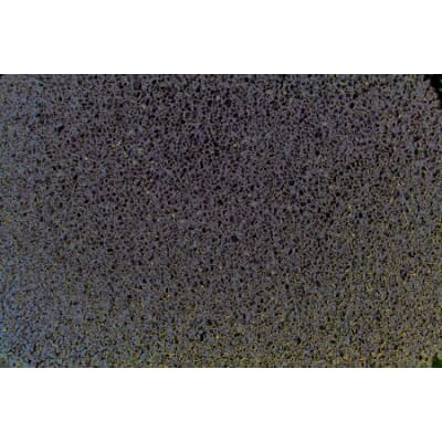 Z009212_Rel Z009212.1.jpg