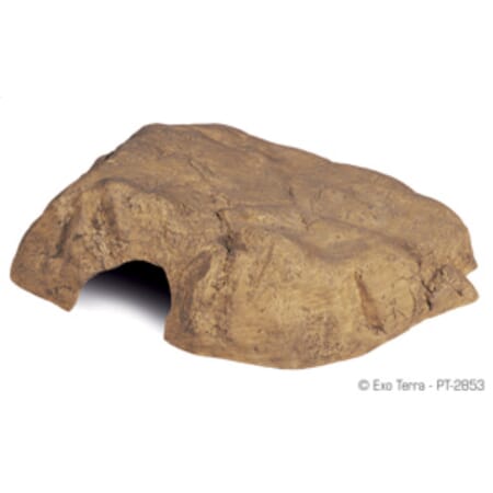 Z007817 A222.2020.jpg