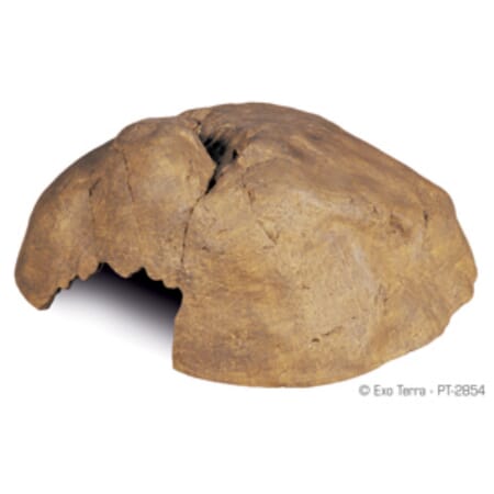 Z007818 A222.2025.jpg