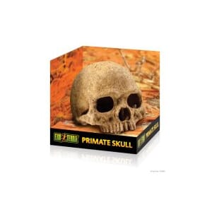 Exo Terra Dødningshode Grotte