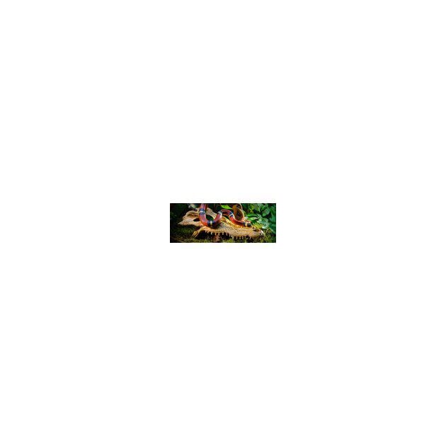 Z031273_Rel Z031273.1.jpg