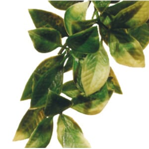 MANDARIN SMALL PT-3002  6