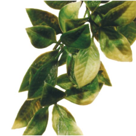 Z007787 A222.0302.jpg