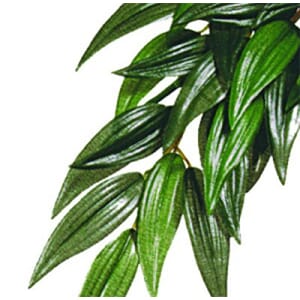 ExoTerra Ruscus Silk Small PT-3031