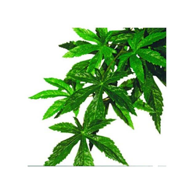 Z007799 A222.0342.jpg