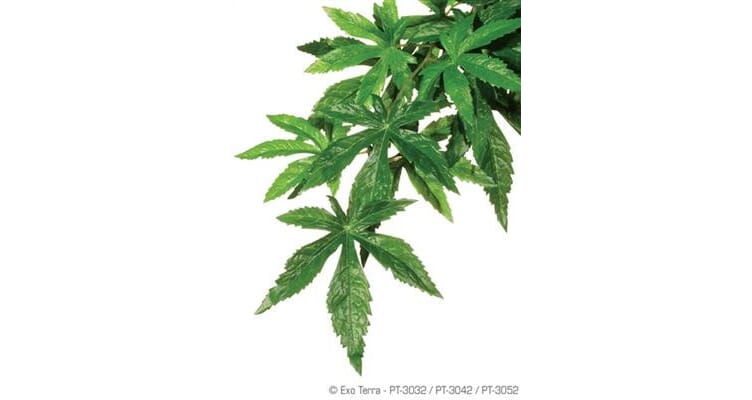 Kunstige planter & Lianer