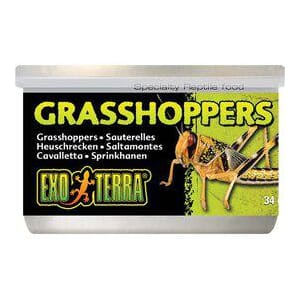 Exoterra Konserverte Gresshopper 34gr