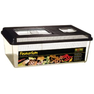 Exo Terra Plast Terrarie Flat Modell L 46x31x17.5CM 24.5L