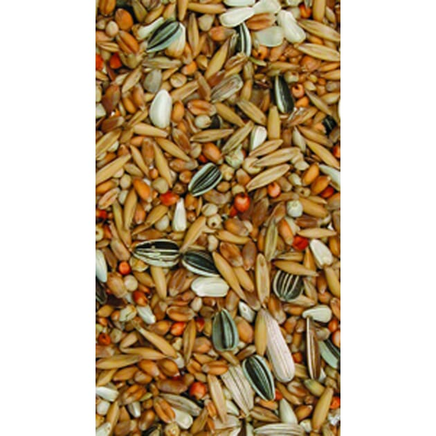 Z008567 A400.0095.jpg