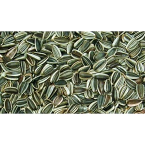 Bello Solsikkefrø 3kg til villfugl