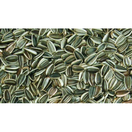 Z008576 A400.0125.jpg