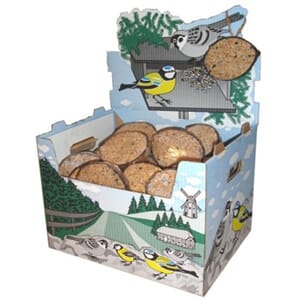 Halv Kokosnøtt med frø og bær