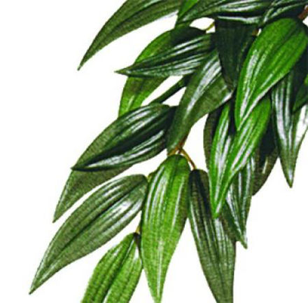 ExoTerra Ruscus Silk Small PT-3031