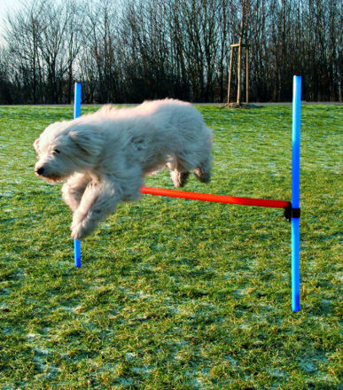 Agility Hinder 1,29m x1,15m Blå/Oransje