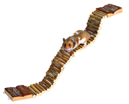 Hamsterleke Fleksibel Bro 55,5x7cm Natur Trixie