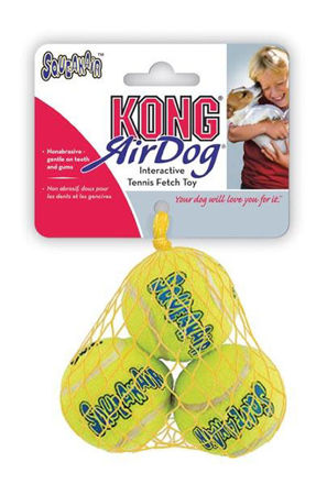 Kong tennisball 3-pack M