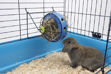 Savic Matbeholder Bunny