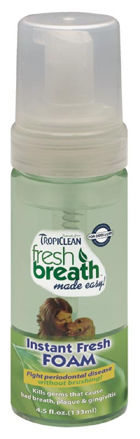 Fresh Breath Mint Foam 133ml