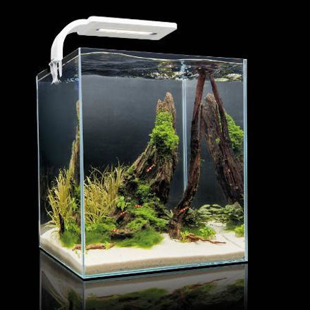 AquaEl ShrimpSet Smart Day & Night 30L Hvit 29x29x35cm