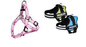 Bilde for kategori Hundeseler