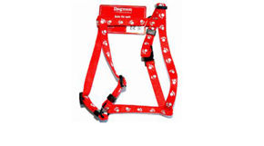 Bilde for kategori Seler til Katt