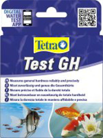 TetraTest GH